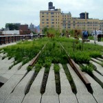 NYC Skyline Park